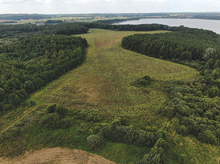 Pollinator habitat Poland