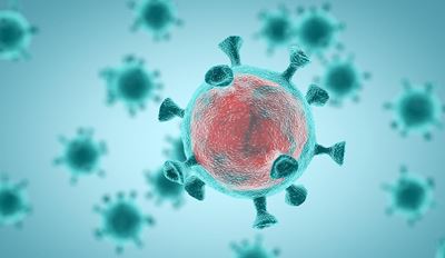 coronavirus cell 