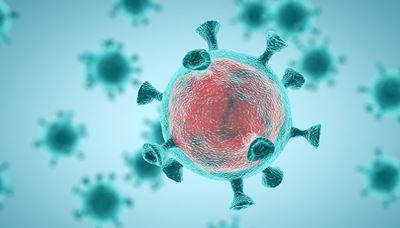 coronavirus cell