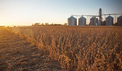 Farmland Sustainability