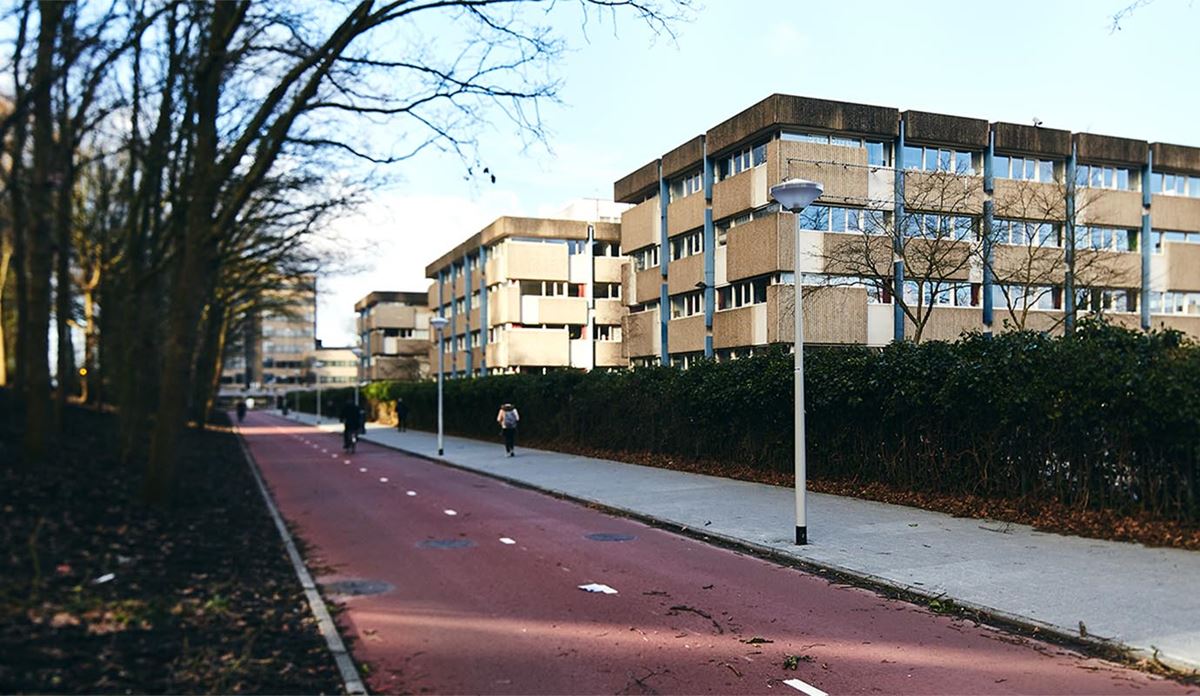 Picture of office asset in Amsterdam
