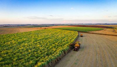 An aerial view of farmland