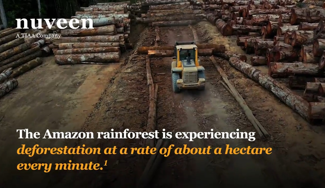 Amazon reforestation video thumbnail
