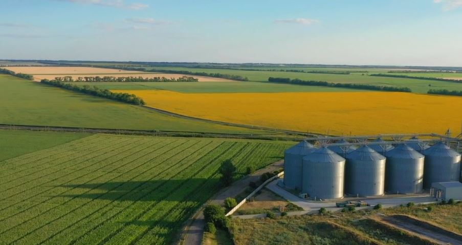 Farmland view