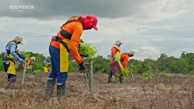 People working on a farm.