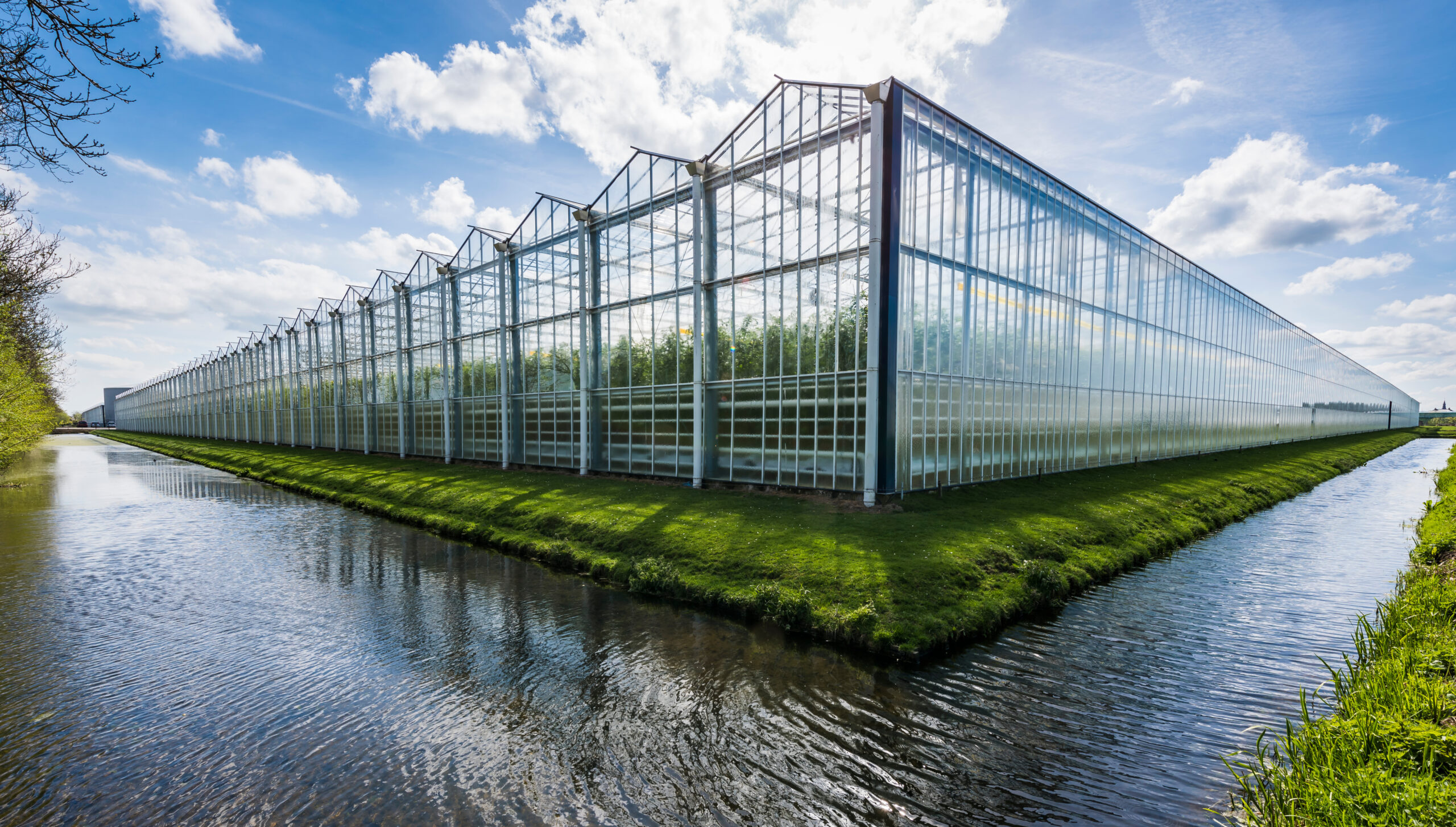 Spring Born Greenhouse
