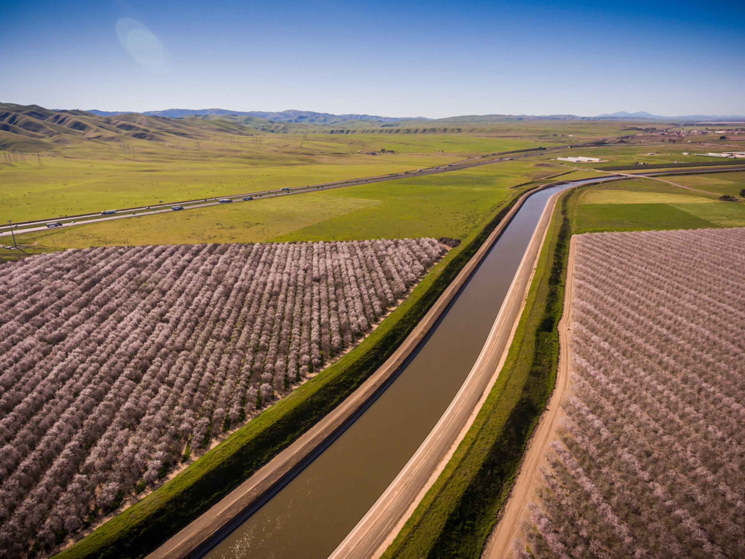 Golden Valley Orchard