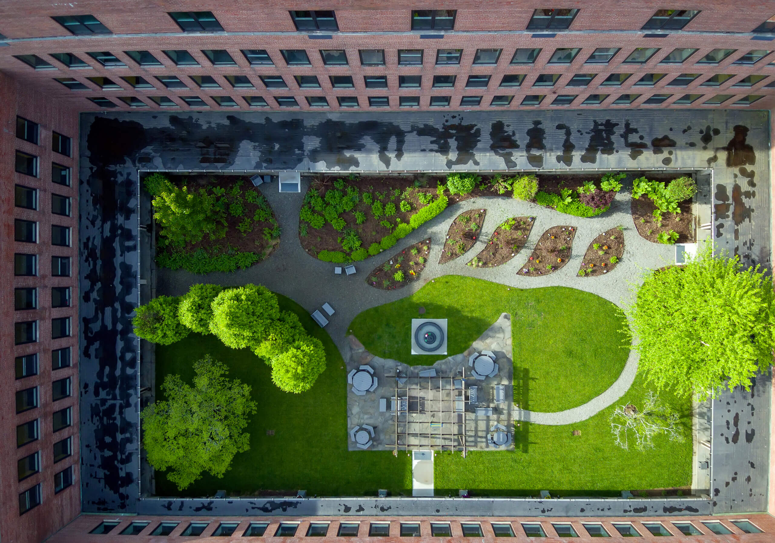 shrub garden top view