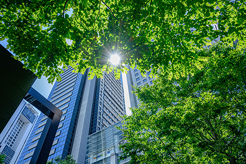 Building view