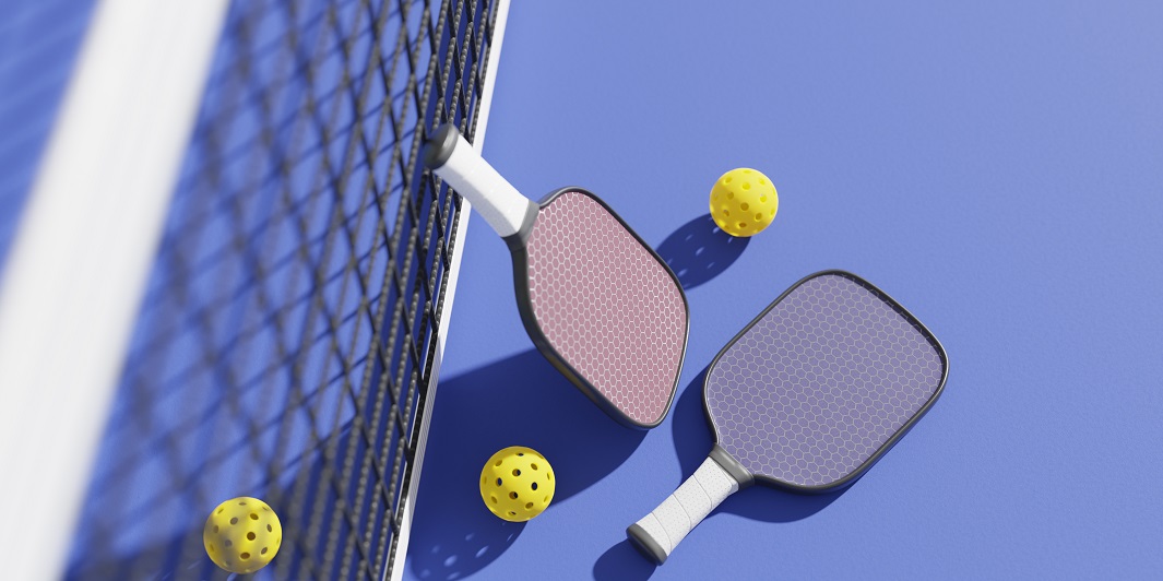 Pickle ball racket and net