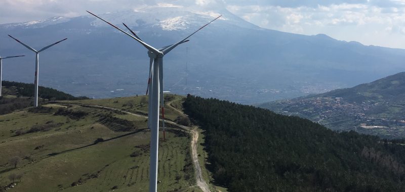 Wind turbines with forest