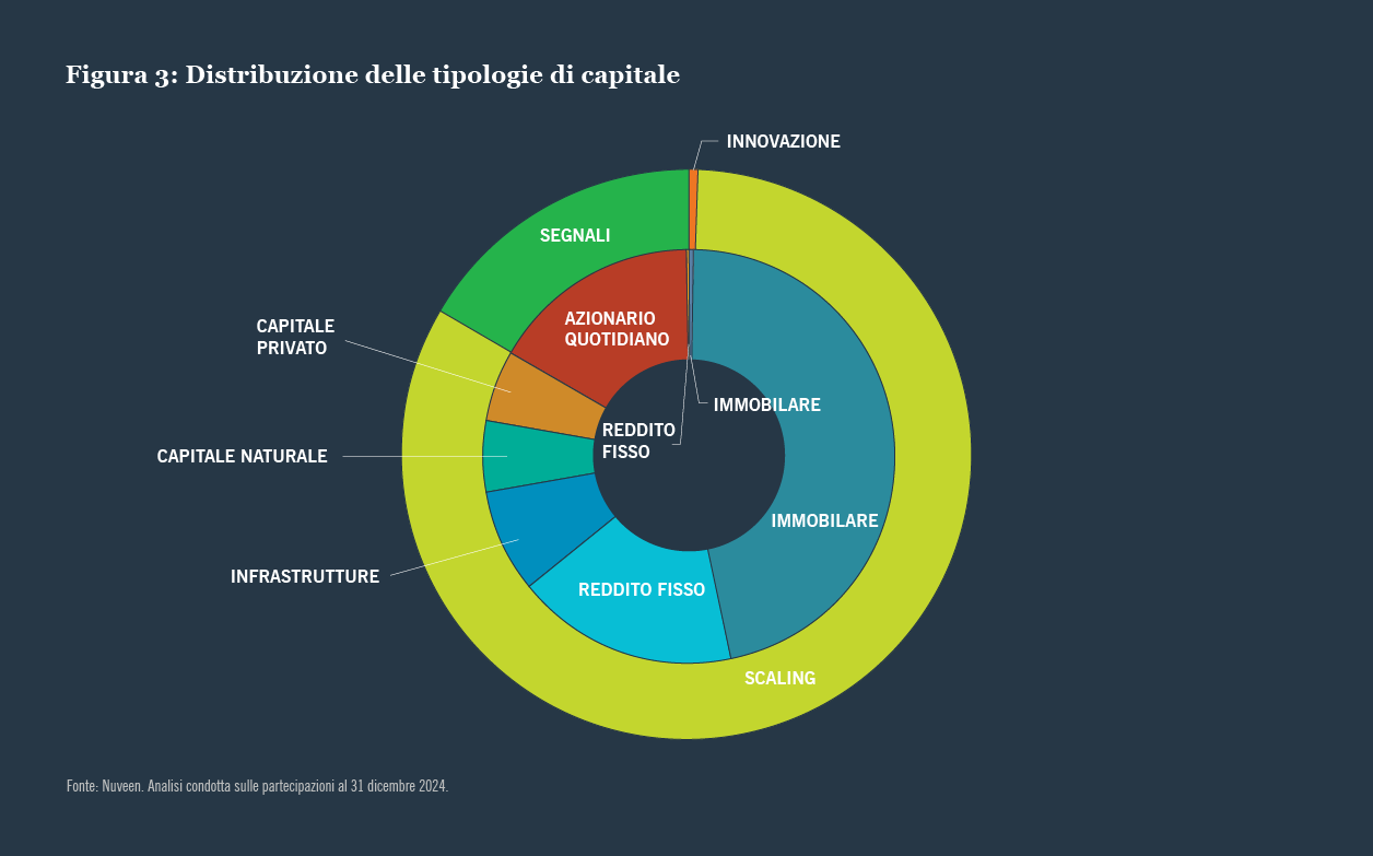 Distribuzione delle tipologie di capitale
