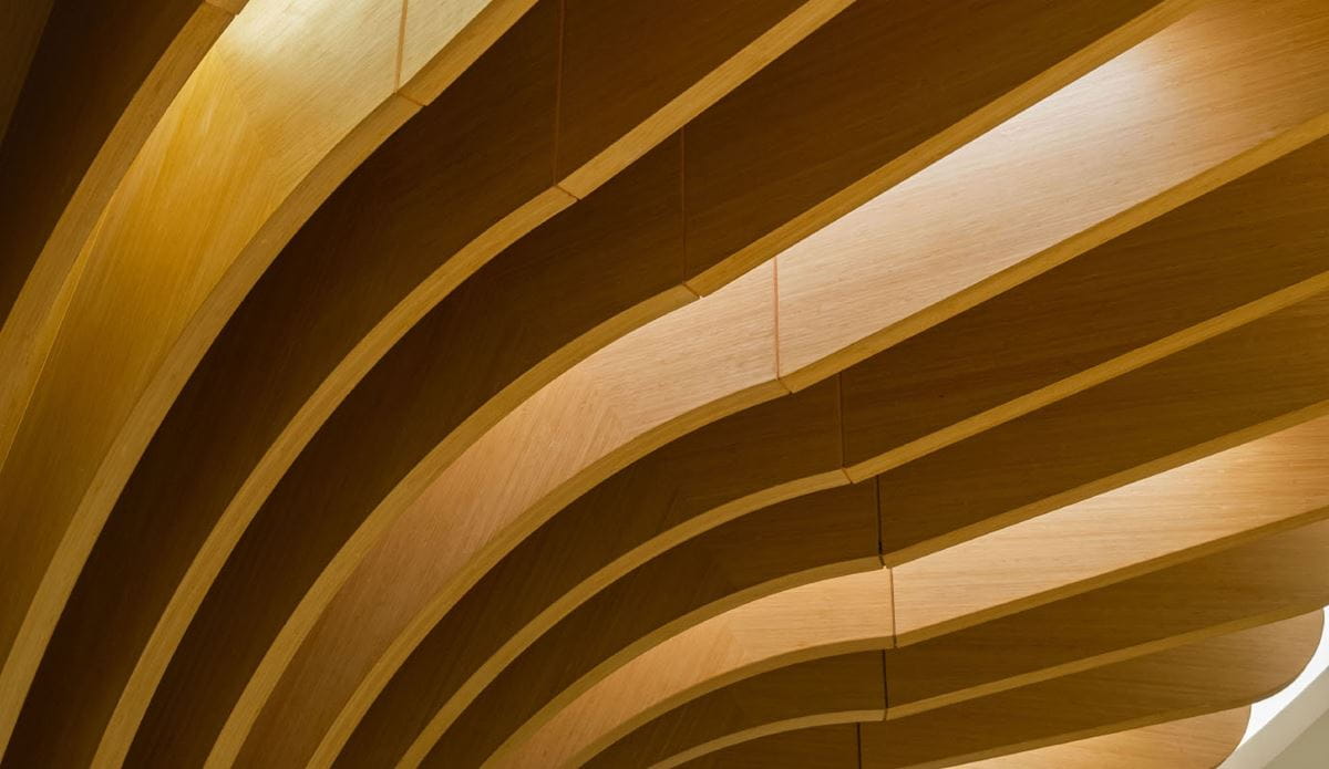 Curved wooden architectural ceiling with layered arching slats in warm golden tones.
