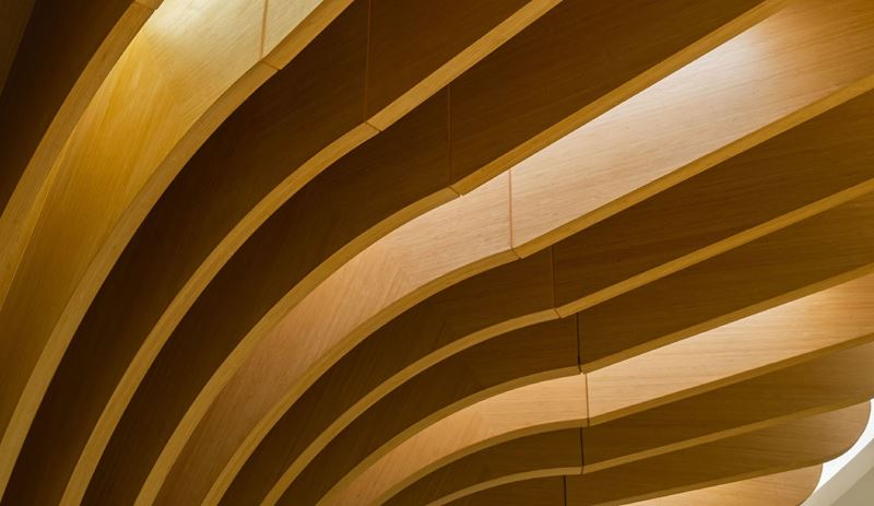 Curved wooden architectural ceiling with layered arching slats in warm golden tones.
