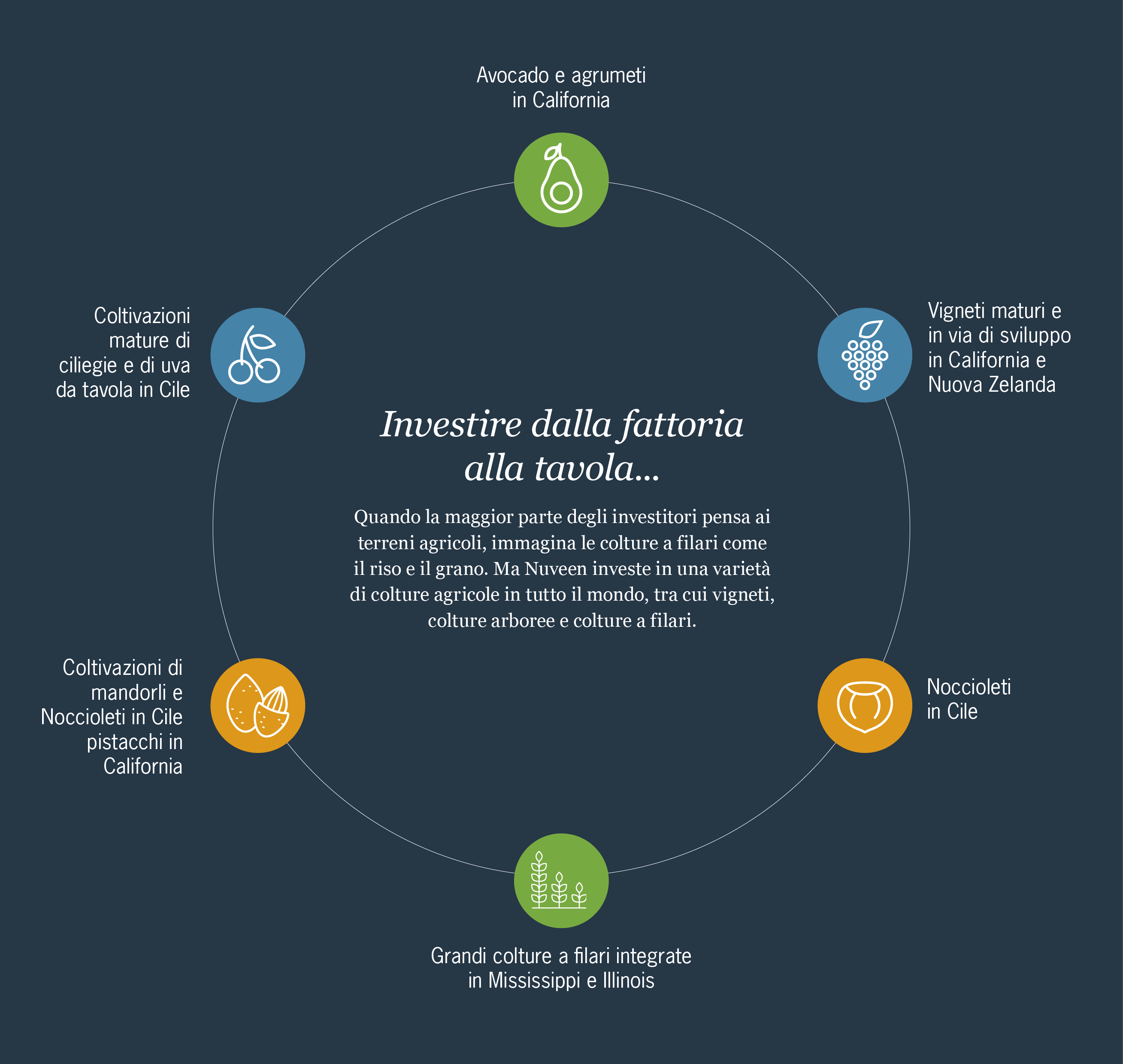 Investire dalla fattoria alla tavola . . .