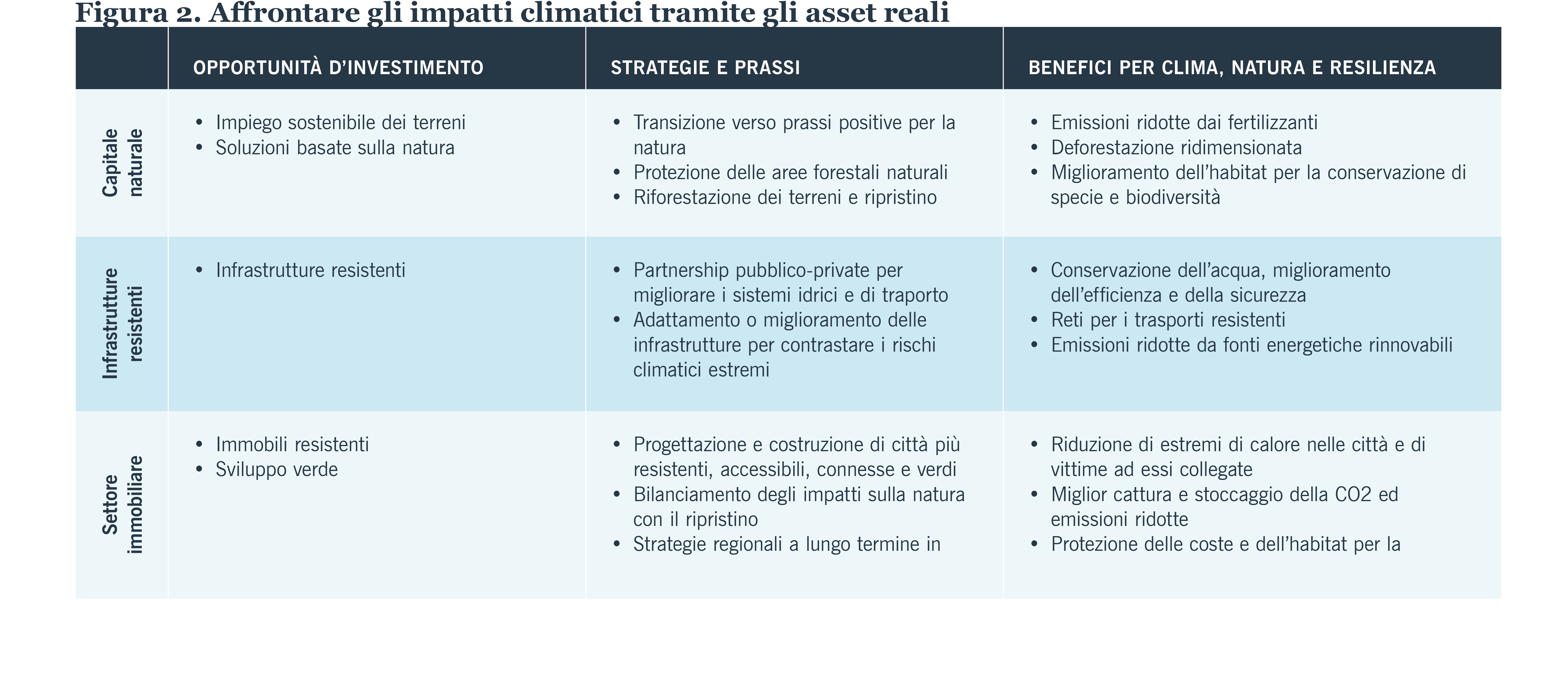 Figura 2. Affrontare gli impatti climatici tramite gli asset reali