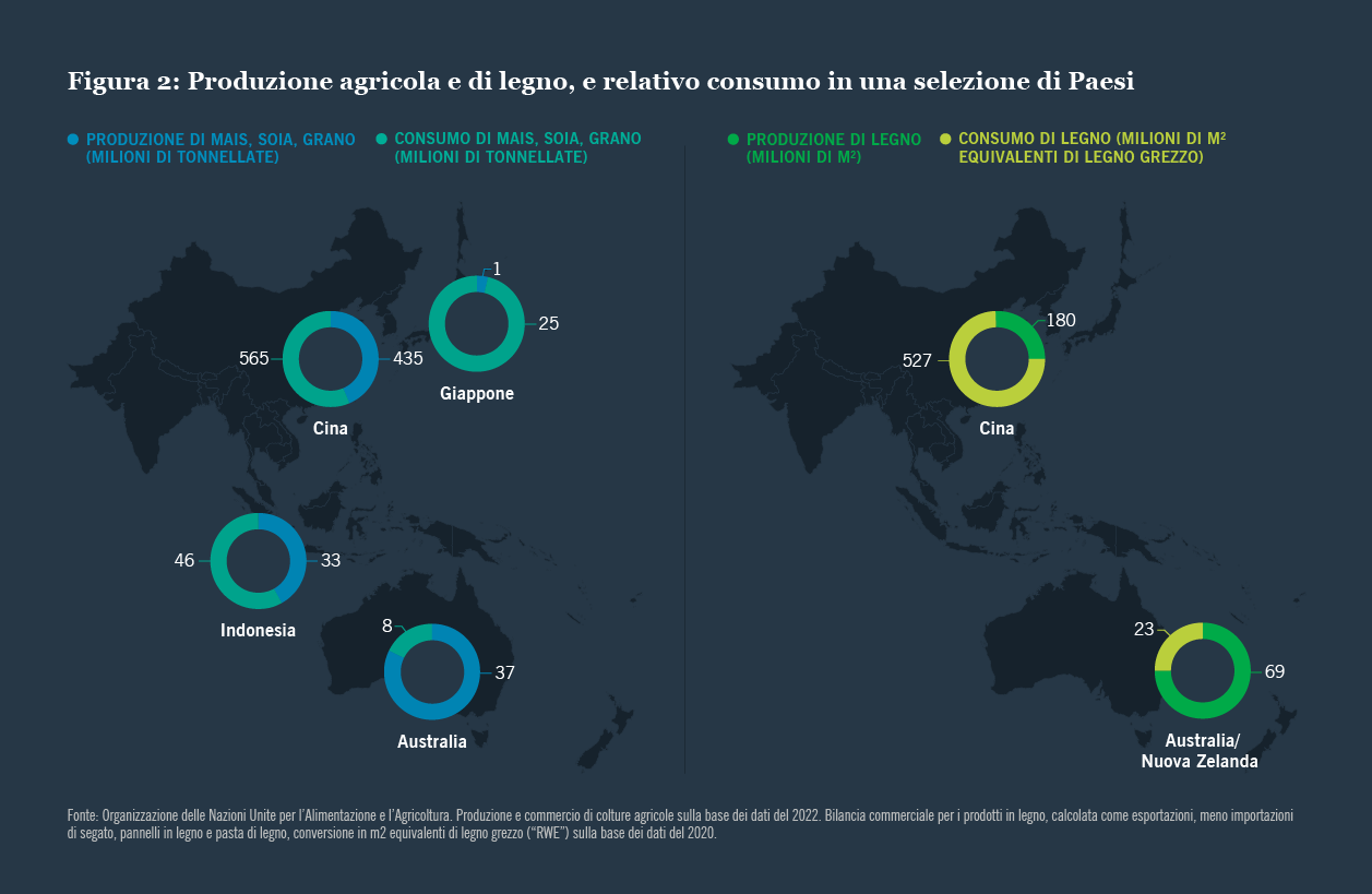 produzione e consumo di legname e prodotti agricoli