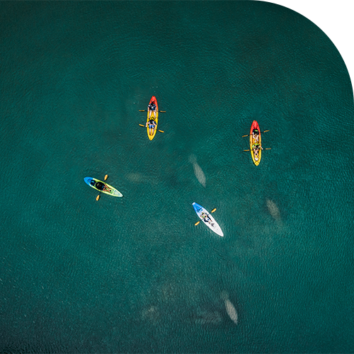 メガトレンドの考察