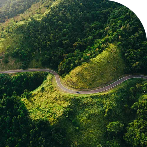 ネイチャーポジティブ投資の最適化