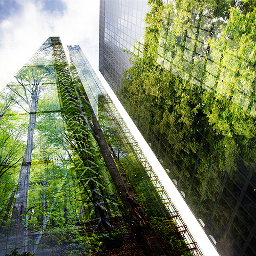 environmentally