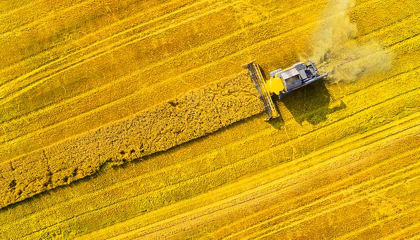Farm Aerial view